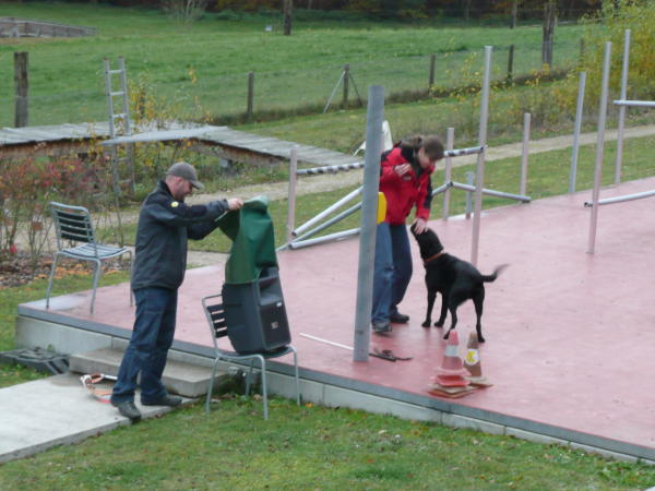 Hund, Instruktor und Helfer auf dem Trainingsplatz