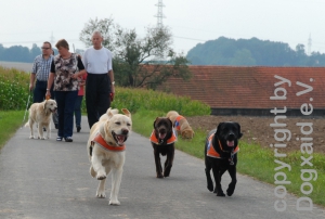 Hunde eilen den Menschen voraus