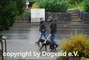 Erste Schritte mit dem Führhund auf dem geraden Gehsteig