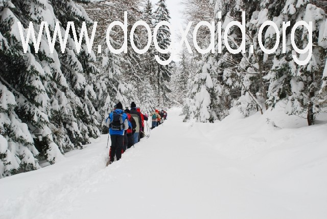 Wanderer von hinten zu sehen stapfen in einer Reihe durch den tiefen Schnee