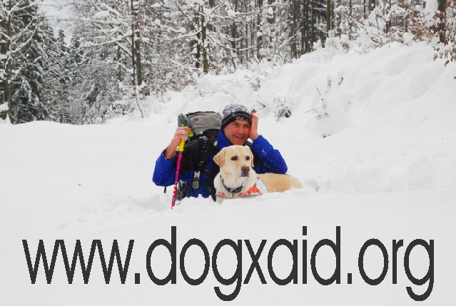 Frank und Murphy im tiefen Schnee