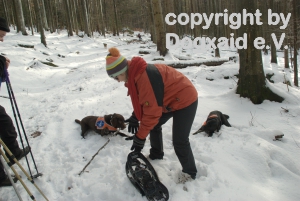 Schirin und zwei Hunde im Schnee