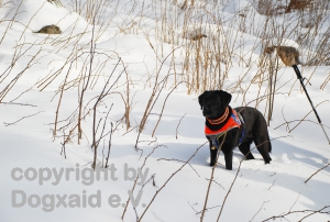 Frieda abseits in Sonne und Schnee