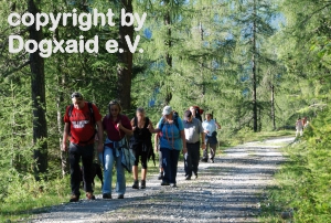 Wanderer hintereinander auf dem Waldweg