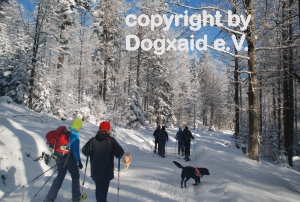 Schneeschuhwanderer im verschneiten Wald