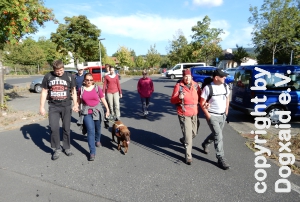 Wandertruppe auf einer Teerstraße Wandertruppe auf einer Teerstraße