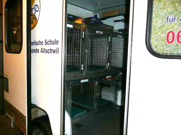 Blick in den Hundetransporter