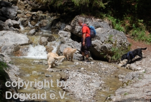 Adi mit den Hunden an einem Wasserlauf