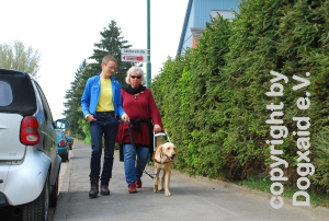 Ausbilderin, Interessentin und Hund laufen zwischen Auto und Gartenhecke