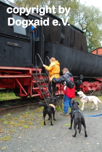 Die Hunde warten, während die Menschen in eine alte Lokomotive steigen
