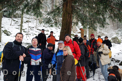 Die Schneeschuhwanderer von Dogxaid und Alpenverein unter einer 1000jährigen Eibe. Foto: Spörr